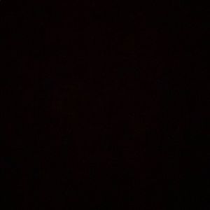 Meet your Posher, Lily